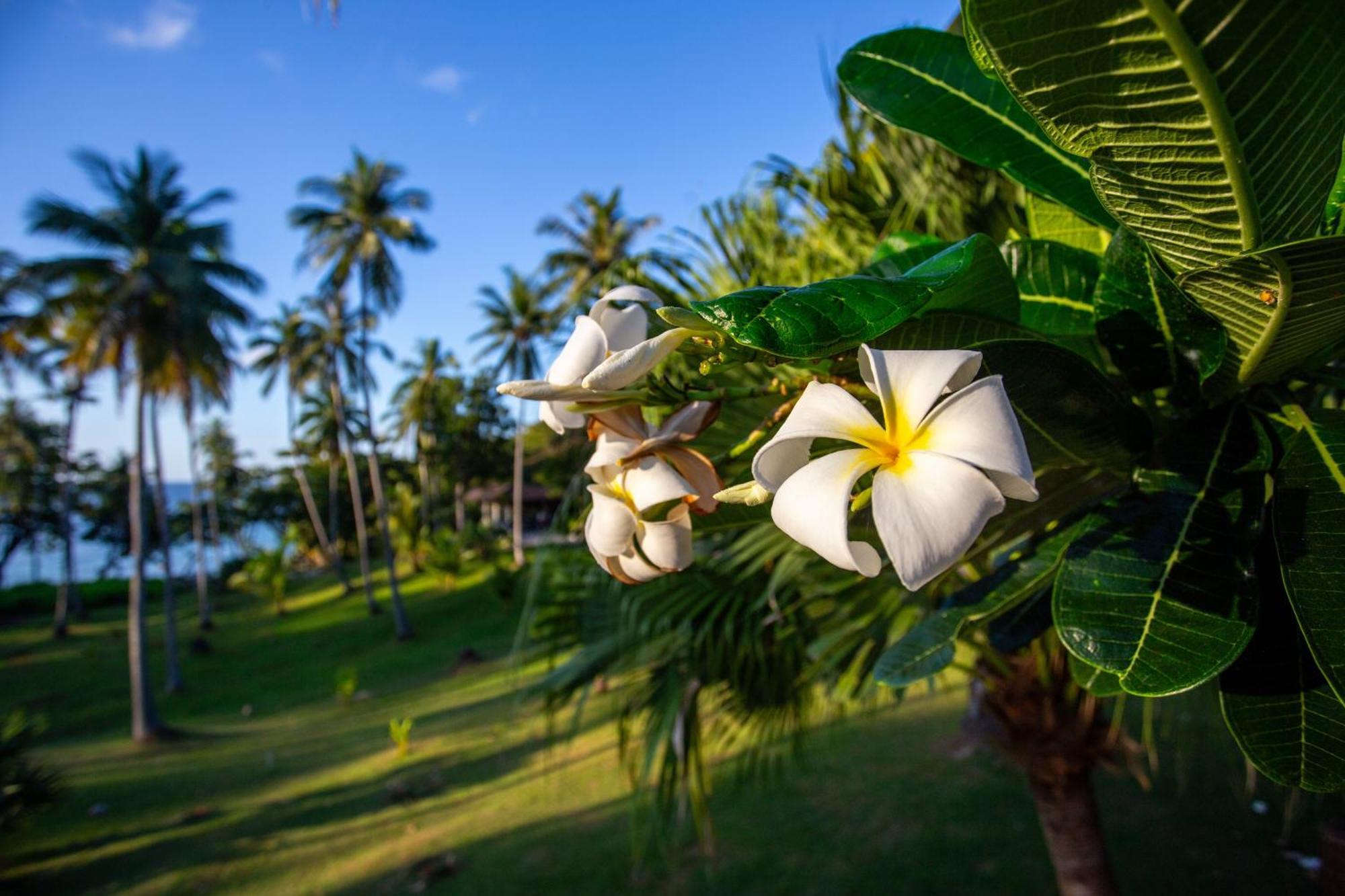 Ban Raya Resort And Spa Ko Racha Yai Eksteriør bilde