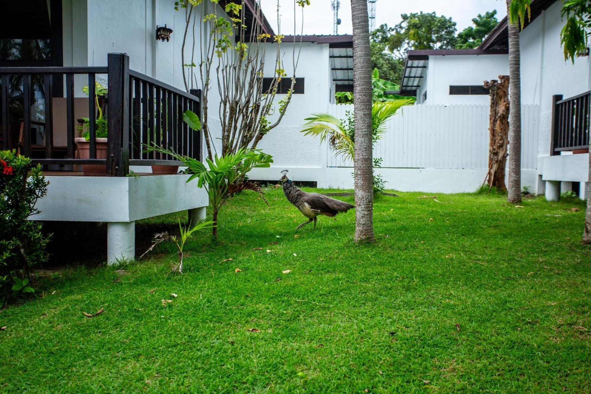 Ban Raya Resort And Spa Ko Racha Yai Eksteriør bilde